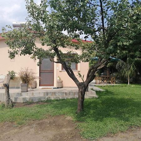 Villa Tiny House By The Sea Nea Skioni Exterior foto