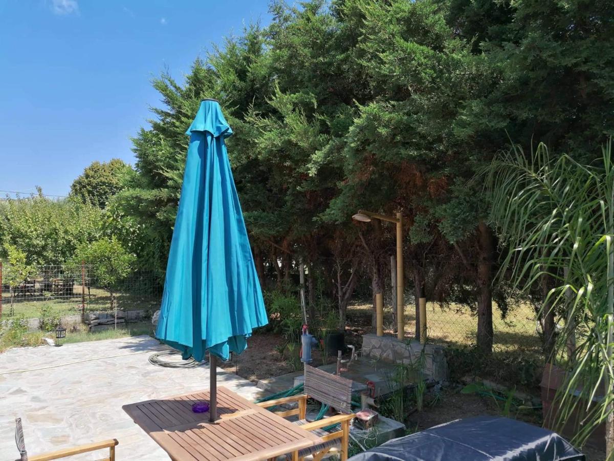 Villa Tiny House By The Sea Nea Skioni Exterior foto